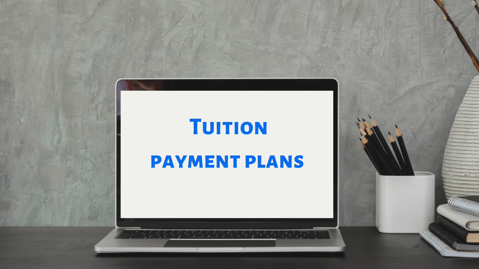 tuition business plan
