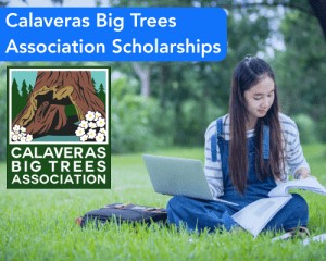 Calaveras Big Trees Association Scholarships