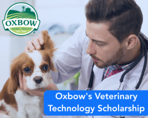 Oxbow’s Veterinary Technology Scholarship