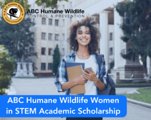 ABC Humane Wildlife Women in STEM Academic Scholarship