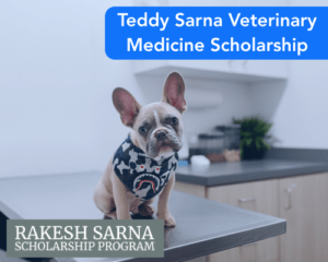 Teddy Sarna Veterinary Medicine Scholarship