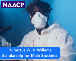 Hubertus W. V. Willems Scholarship for Male Students