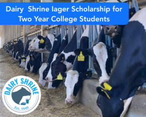 Dairy Shrine Iager Scholarship for Two Year College Students