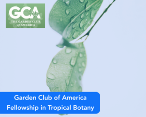 Garden Club of America Fellowship in Tropical Botany