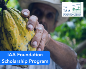 IAA Foundation Scholarship Program