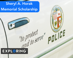 Sheryl A. Horak Memorial Scholarship