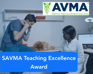SAVMA Teaching Excellence Award