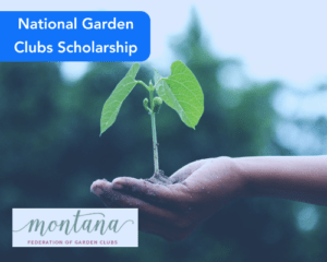 National Garden Clubs Scholarship