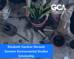 Elizabeth Gardner Norweb Summer Environmental Studies Scholarship