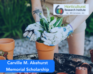 Carville M. Akehurst Memorial Scholarship