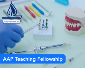 AAP Teaching Fellowship