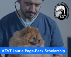 AZVT Laurie Page-Peck Scholarship
