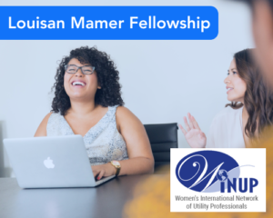 Louisan Mamer Fellowship