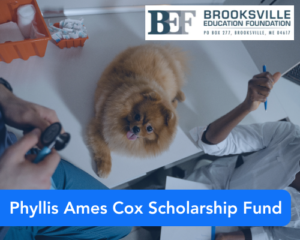Phyllis Ames Cox Scholarship Fund