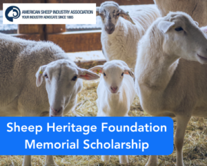 Sheep Heritage Foundation Memorial Scholarship
