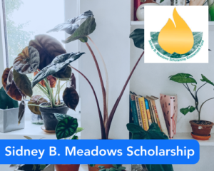 Sidney B. Meadows Scholarship