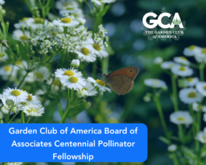 Garden Club of America Board of Associates Centennial Pollinator Fellowship