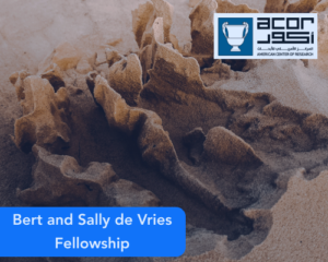 Bert and Sally de Vries Fellowship