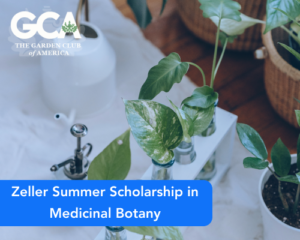 Zeller Summer Scholarship in Medicinal Botany