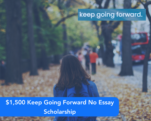 no essay sparrow flight scholarship