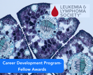 Career Development Program-Fellow Awards