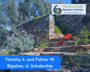 Timothy S. and Palmer W. Bigelow, Jr. Scholarship