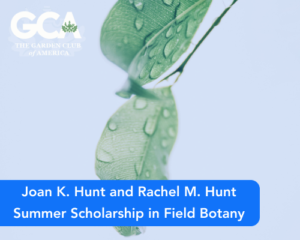 Joan K. Hunt and Rachel M. Hunt Summer Scholarship in Field Botany