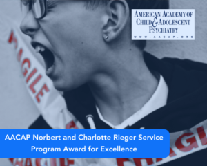 AACAP Norbert and Charlotte Rieger Service Program Award for Excellence