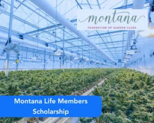Montana Life Members Scholarship