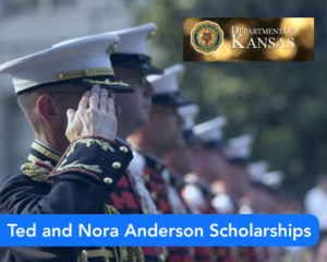 Ted and Nora Anderson Scholarships