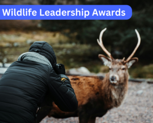 Wildlife Leadership Awards