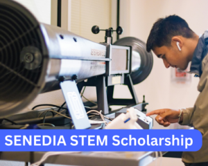 SENEDIA STEM Scholarship