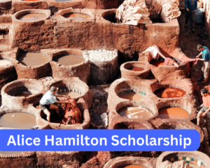 Alice Hamilton Scholarship