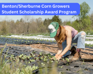 Benton/Sherburne Corn Growers Student Scholarship Award Program