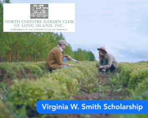Virginia W. Smith Scholarship