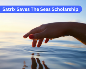 Satrix Saves The Seas Scholarship