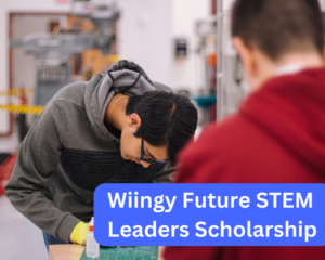 Wiingy Future STEM Leaders Scholarship
