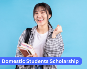 Domestic Students Scholarship