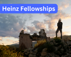 Heinz Fellowships