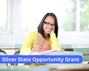 Silver State Opportunity Grant