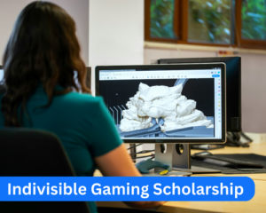 Indivisible Gaming Scholarship