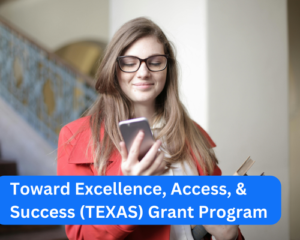 Toward Excellence, Access, & Success (TEXAS) Grant Program